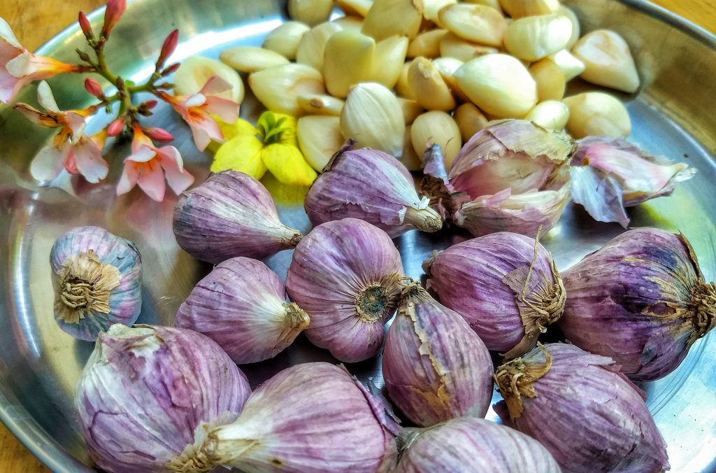 Himalayan Hard-neck Garlic