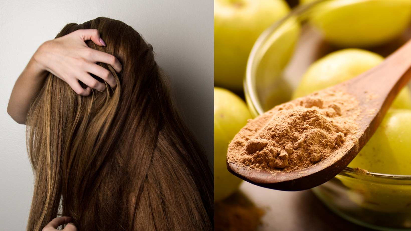 Amla Oil strengthens hair, reduce premature pigment loss from hair, or –  Best Natures