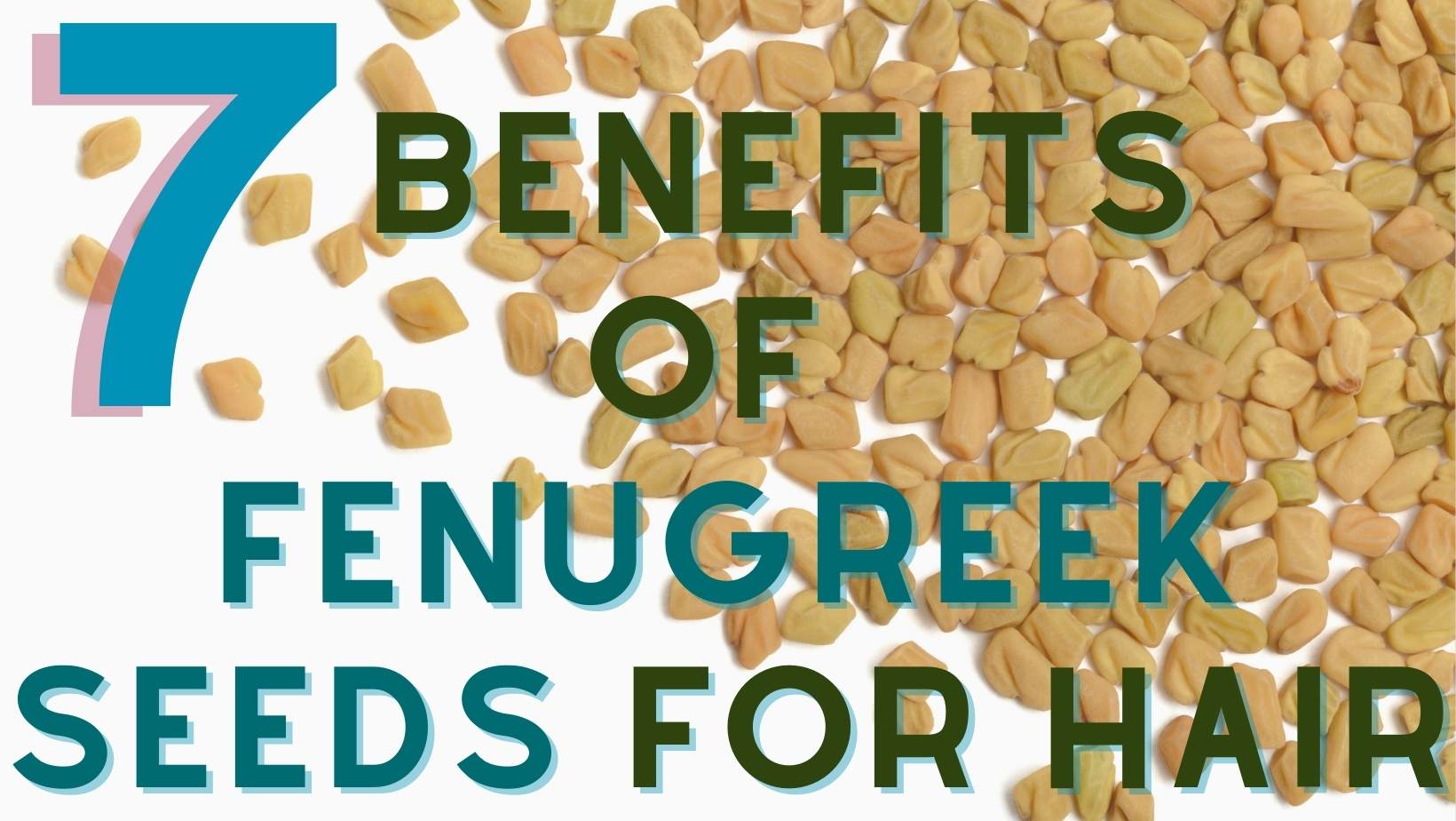7 Benefits of Fenugreek Seeds(Methi) for Hair - Masala Monk Fenugreek