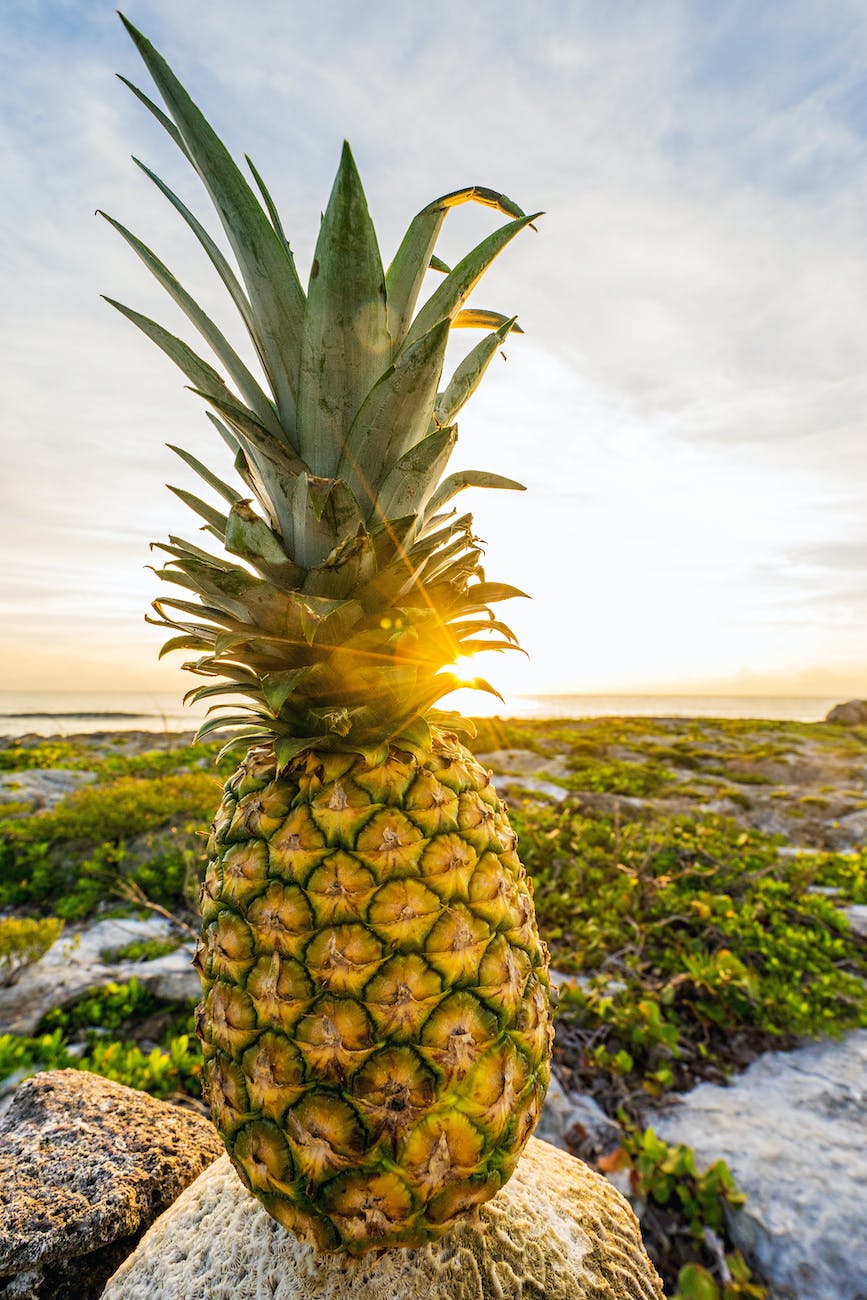 Pineapple: The Tropical Treasure for Your Skin - Benefits, Myths, and 5  Invigorating Recipes for a Smooth Complexion - Masala Monk