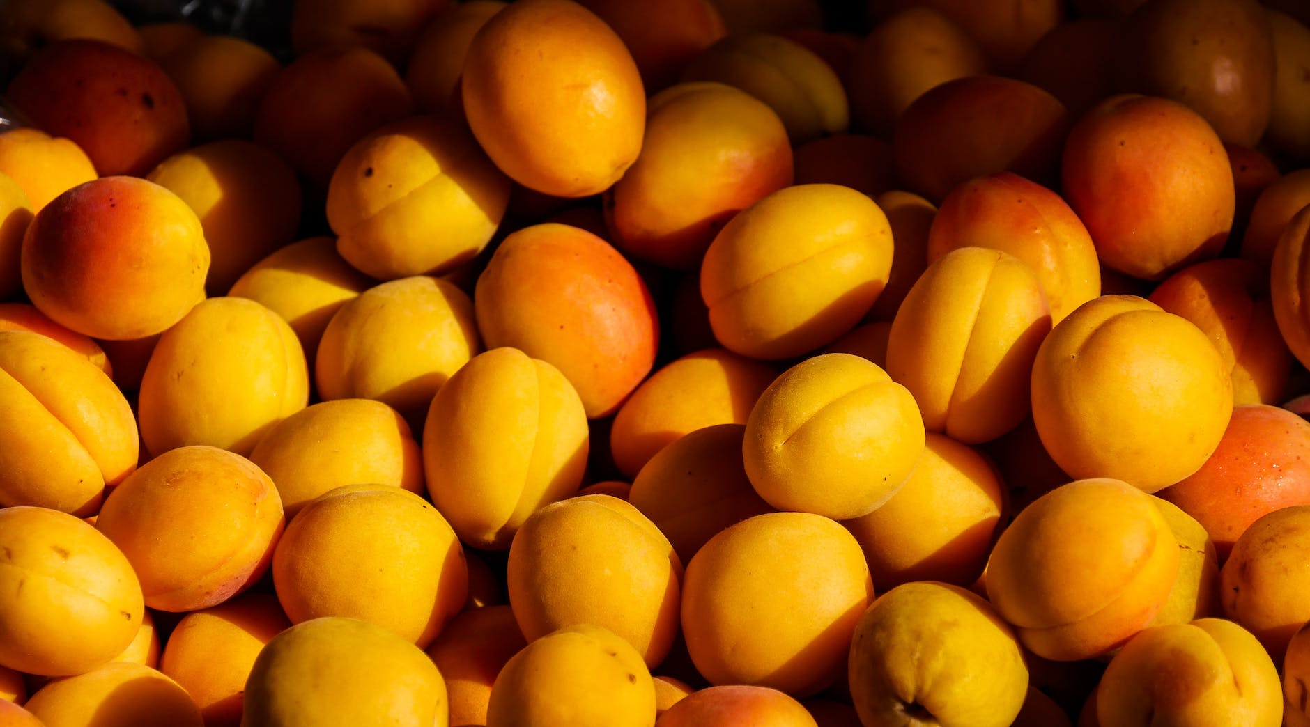 agriculture apricot color confection