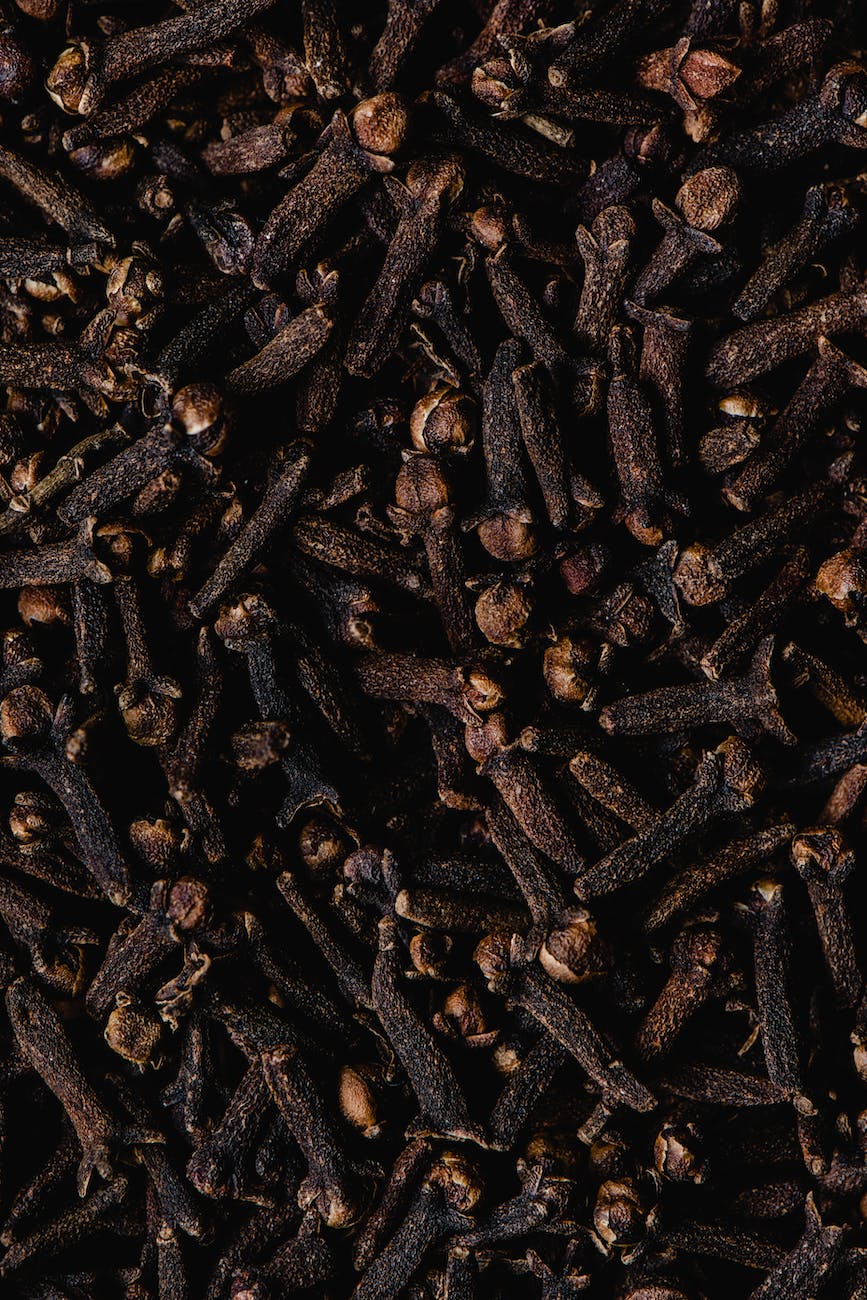 dried cloves in close up shot
